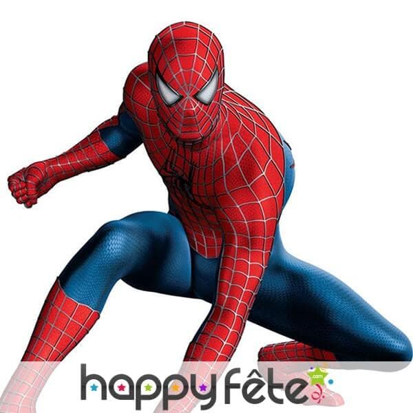 spiderman au cinéma