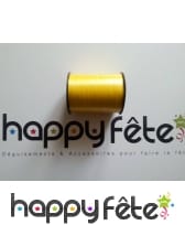 Photo de Bolduc lisse jaune prise par Benoit R.