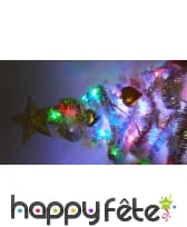 Photo de Cimier étoile argentée de 20cm prise par SYLVIE GONZALEZ