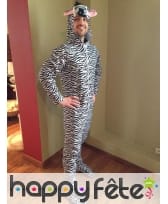 Photo de Combinaison zèbre prise par Benoit R