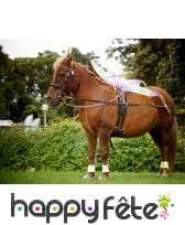 Photo de Grandes ailes de papillon en fil doré de 70h/80 cm prise par Joëlle Butez