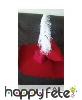 Photo de Plume autruche blanche extra 50 cm prise par ABBE Sébastien