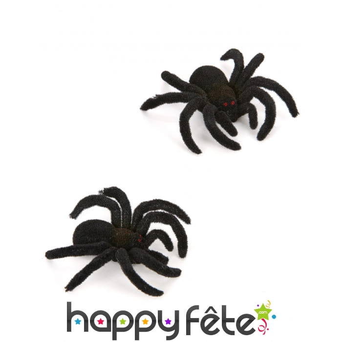 2 Araignées noires poilues de 10cm