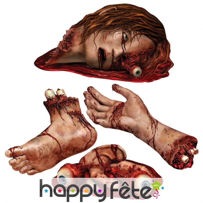 4 parties du corps en sang et en carton