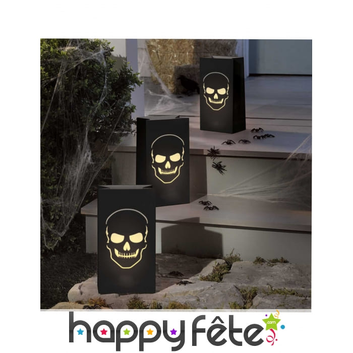 6 Lanternes tête de mort de 28cm