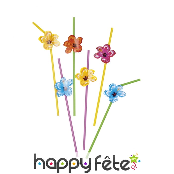 6 pailles avec fleur d'hibiscus