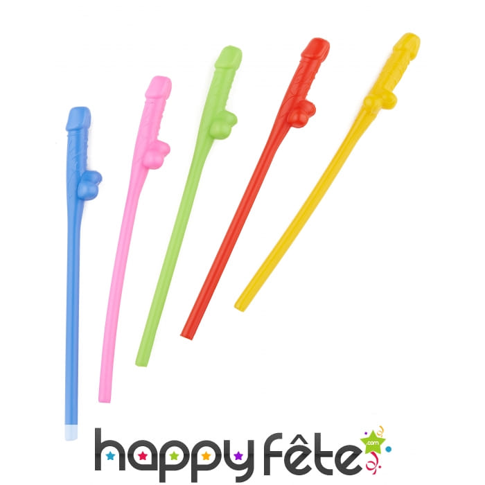 6 Pailles zizi multicolores