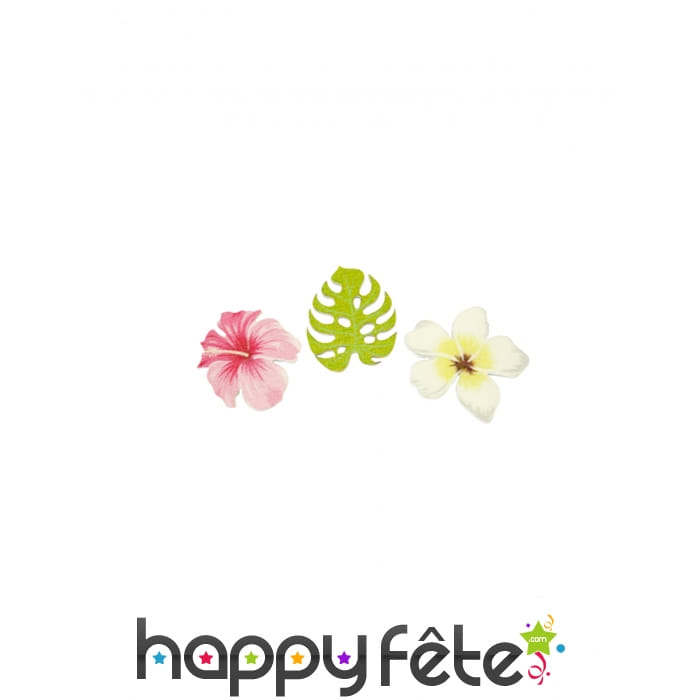 9 Confettis de nature exotique en bois de 3,8 cm