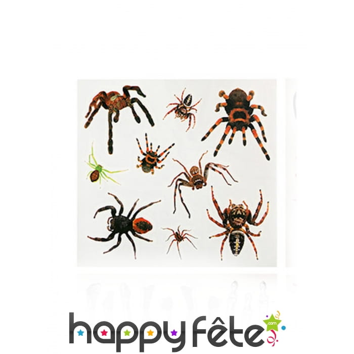9 Tatouages araignées sur planche de 23x20cm