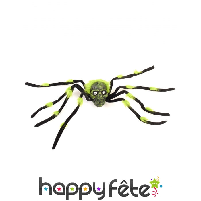 Araignée avec tête de mort de 70cm