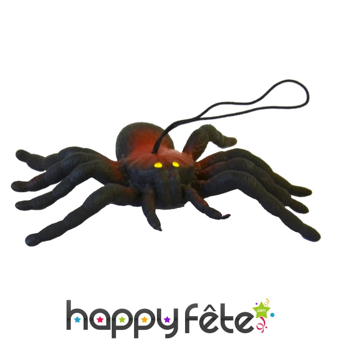 Araignée décorative