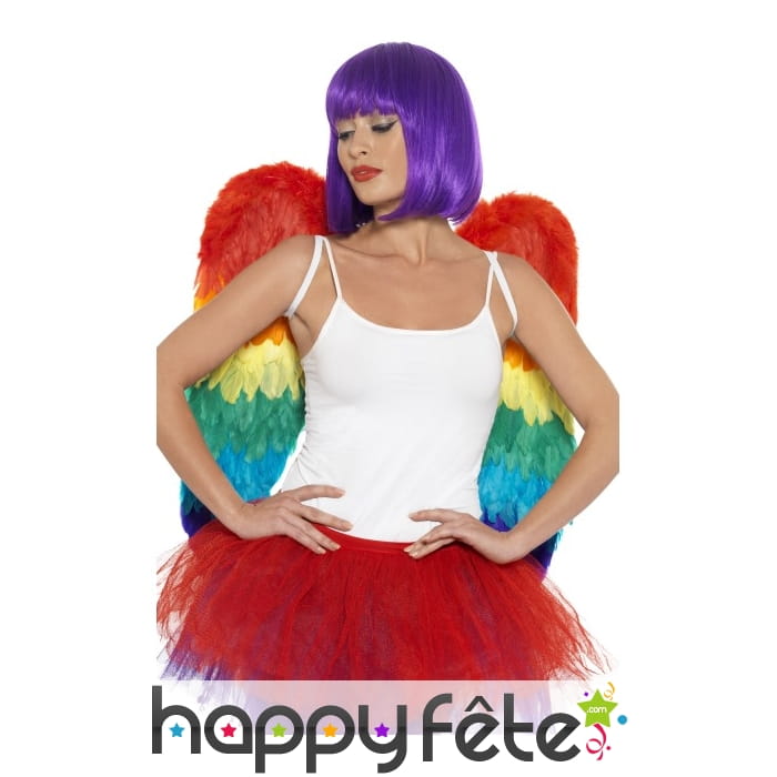 Ailes d'ange multiclores