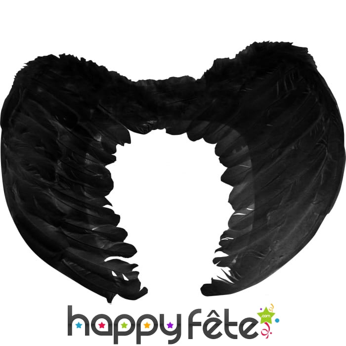 Ailes d'ange plumes noires