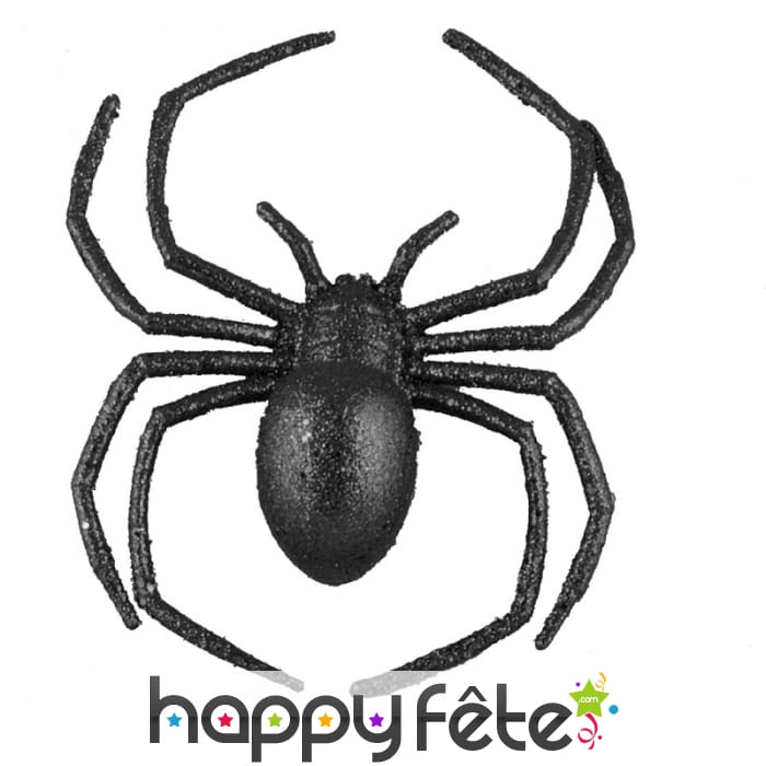 Araignées décorative noire et paillettes