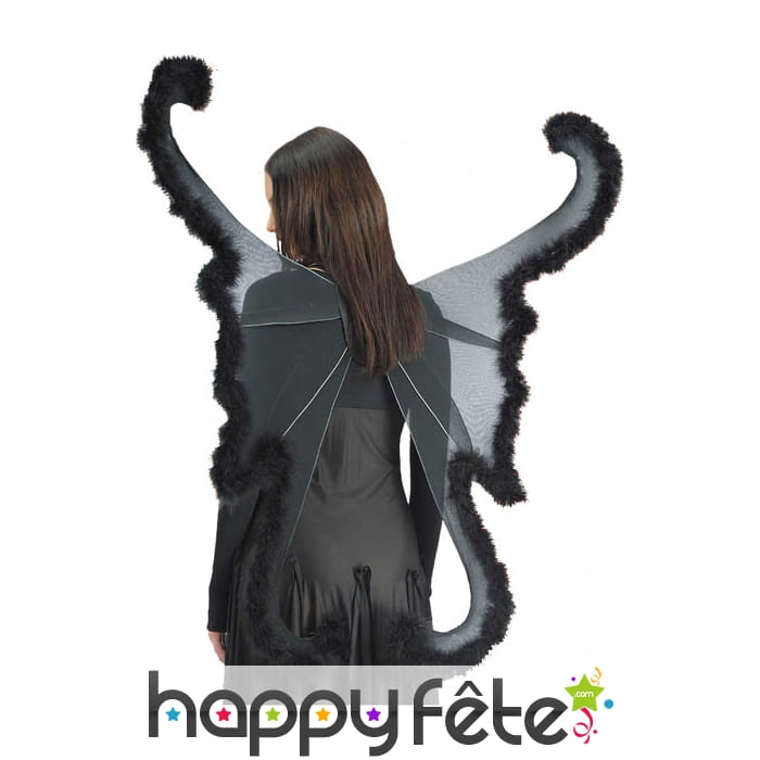 Ailes de papillon géant, couleur noir