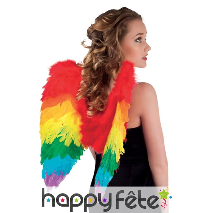 Ailes de perroquet, pour adulte