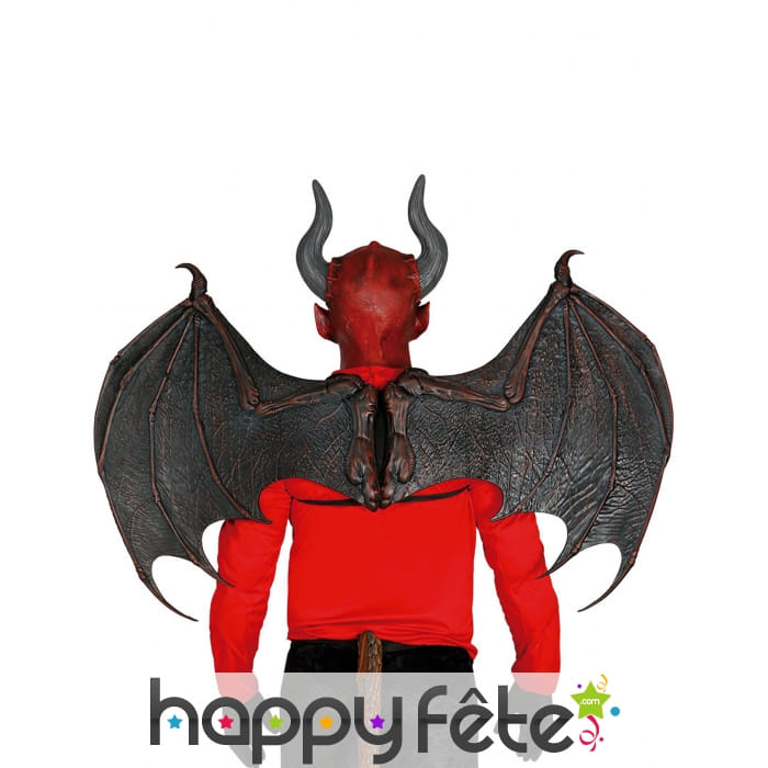 Ailes démon semi rigides de luxe 100x80cm