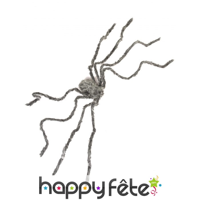 Araignée grise de 160cm
