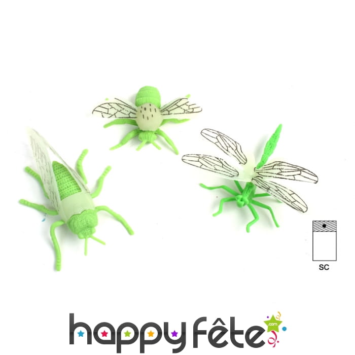 Animal insecte phosphorescent