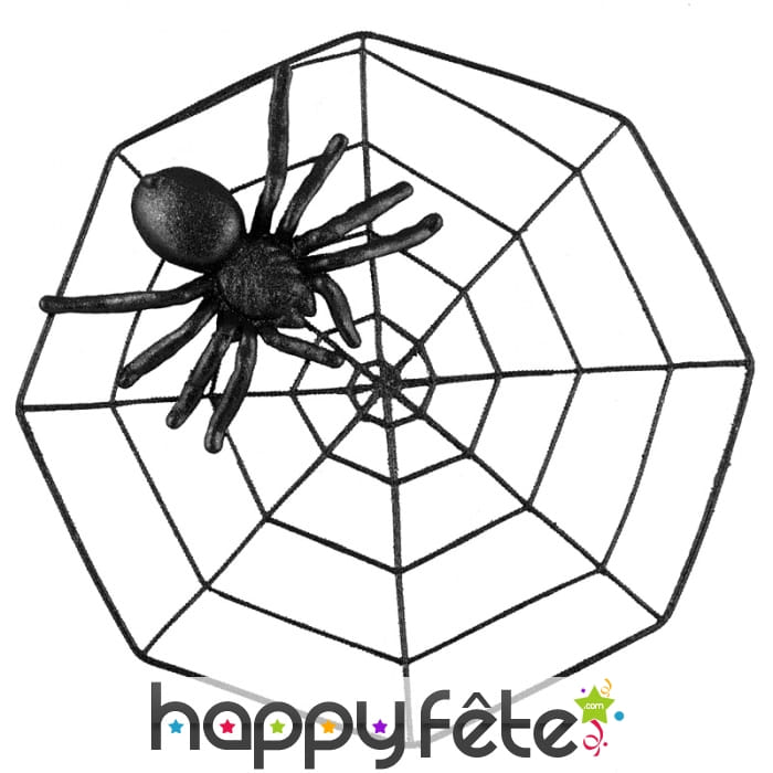 Araignée noire avec paillettes et toile