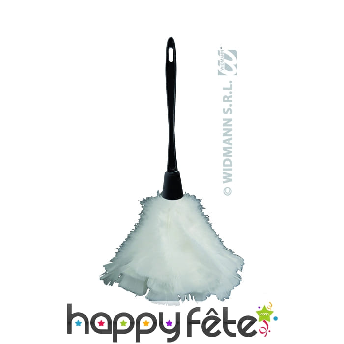 Attrape poussière en plumes