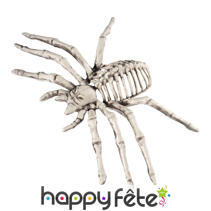 Araignée squelette décorative de 22cm