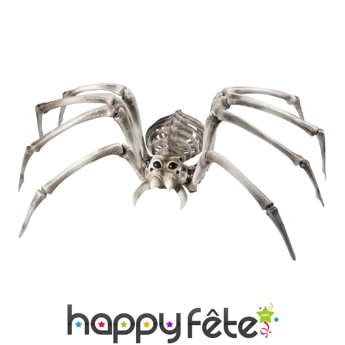 Araignée squelette géante de 54cm