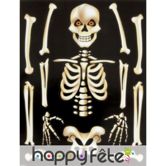 Autocollant squelette pour fenêtre