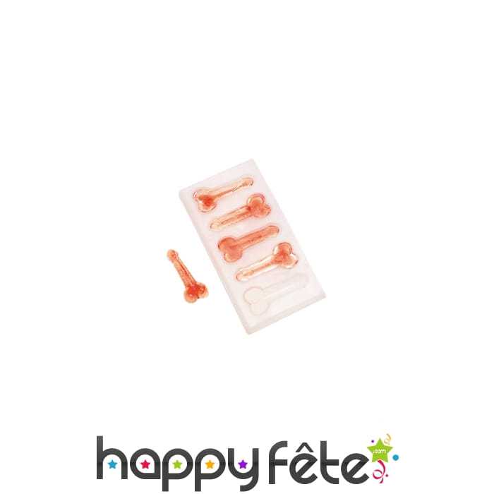 Bac a glacon original grand zizi