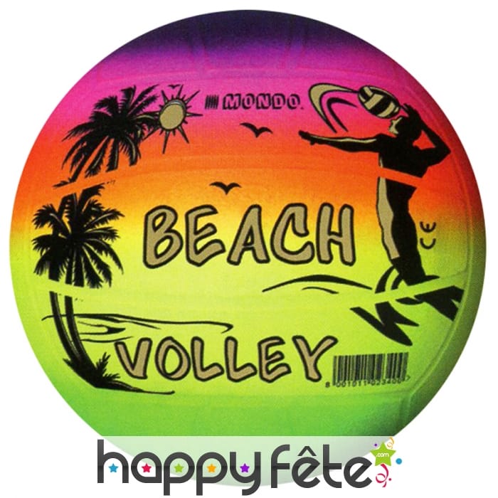 Ballon de beach volley