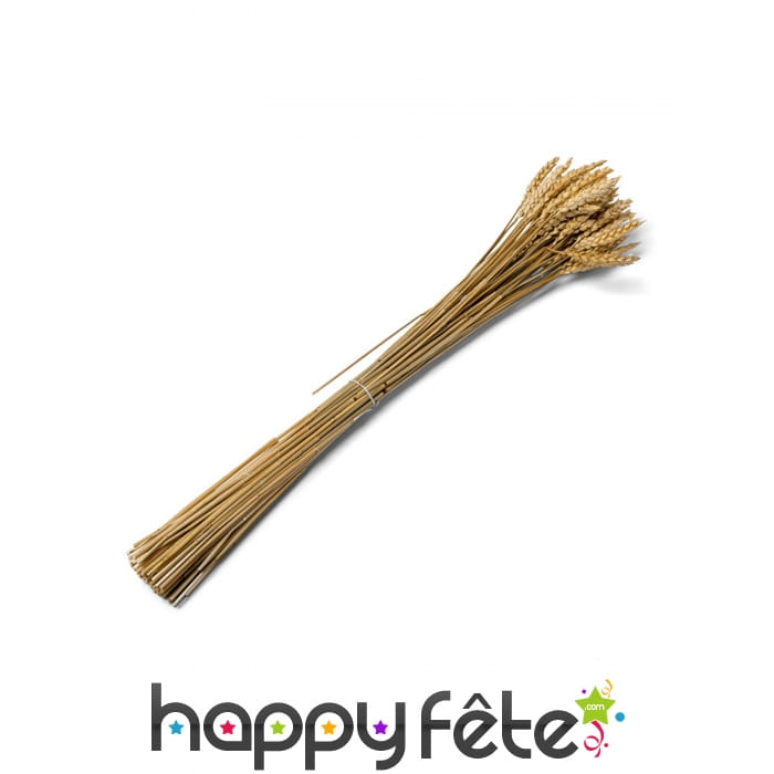 Bouquet de blé de 60cm