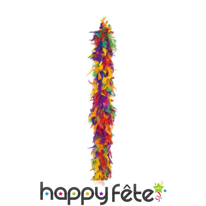 Boa de plumes multicolores