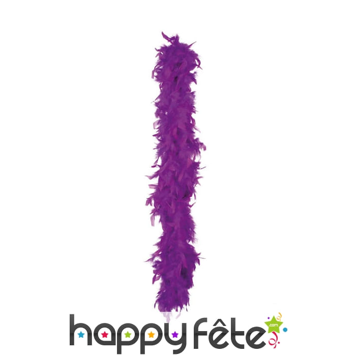 Boa de plumes violettes