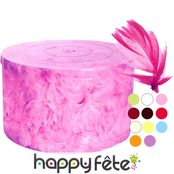 Boite de plumes anis de décoration