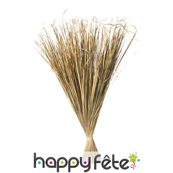 Botte de paille séchée décorative de 120cm