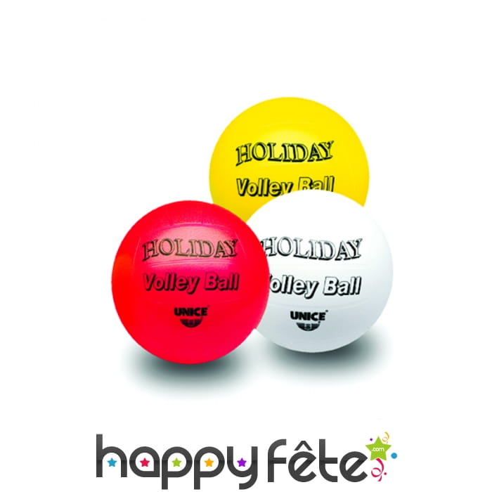 Ballon de volleyball fantaisie