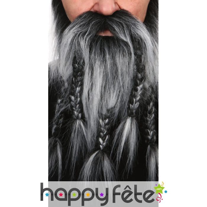 Barbe-moustaches de barbare poivre et sel