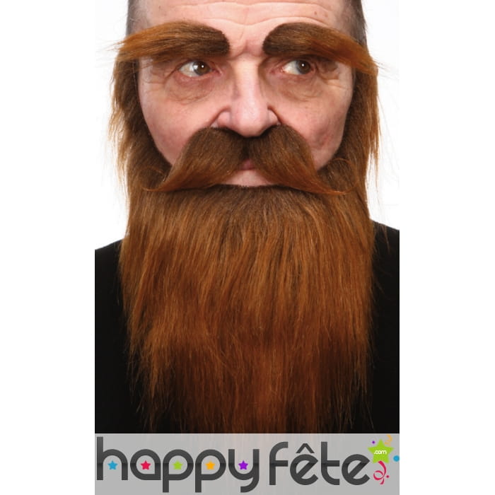 Barbe, moustache et sourcils chatain