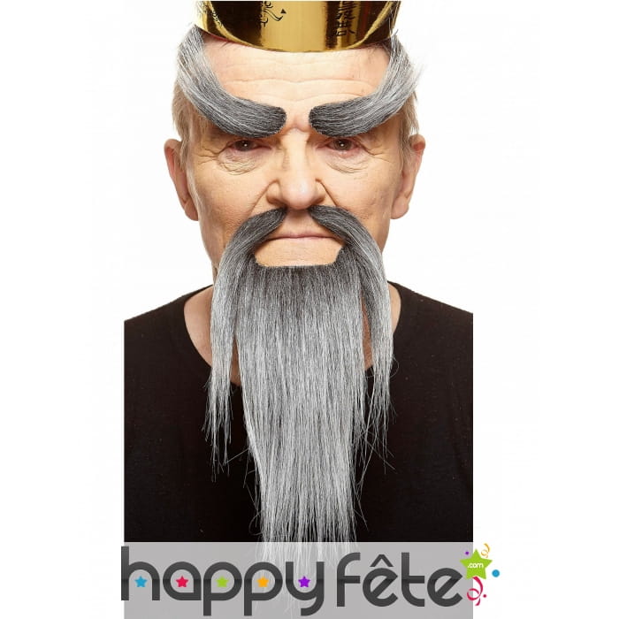 Barbe, moustaches et sourcis gris maitre chinois