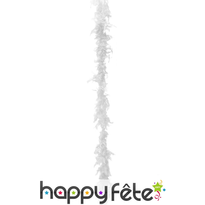 Boa plumes blanc
