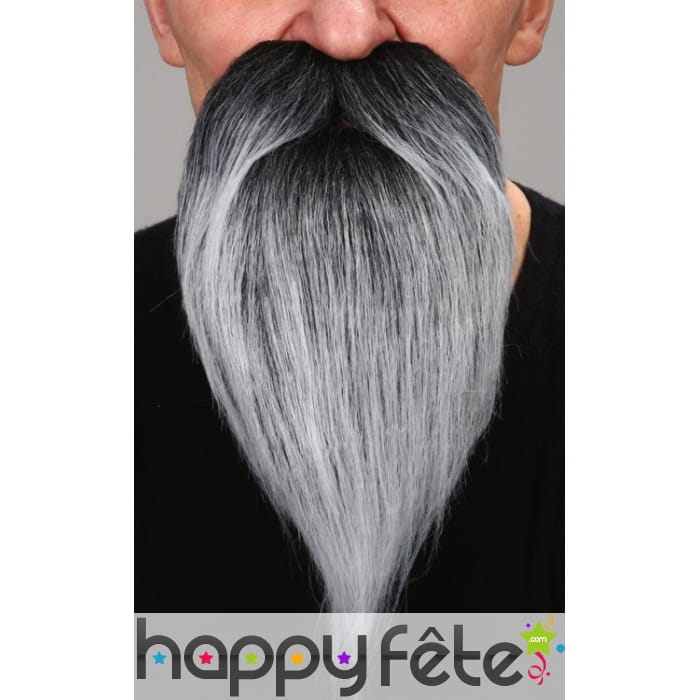 Barbe poivre et sel de savant avec moustaches