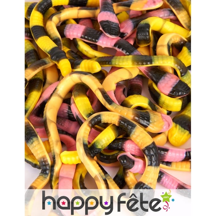 Bonbons Pit le python 1kg