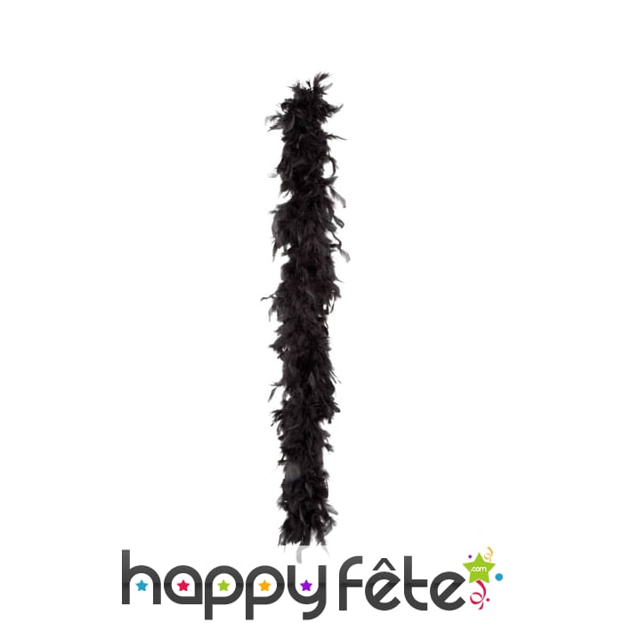 Boa plumes noir