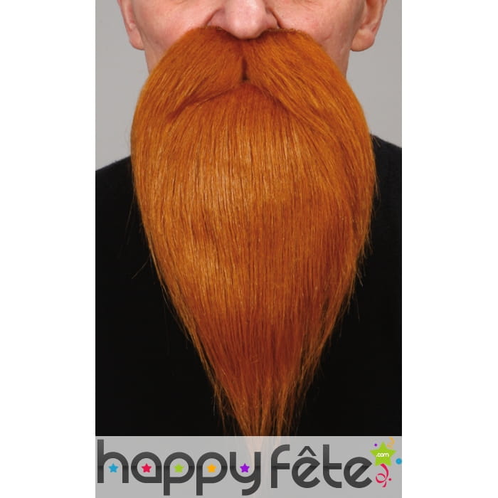 Barbe rousse de peintre avec moustaches