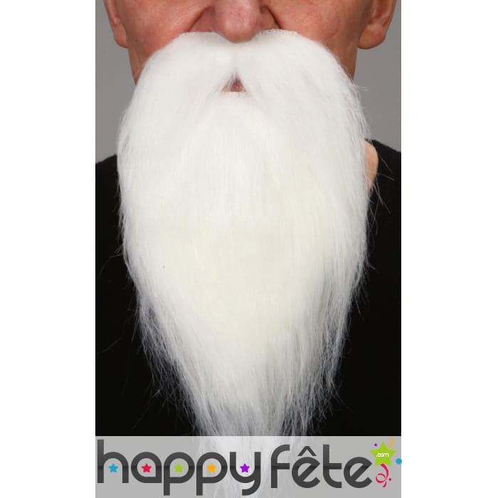 Barbe tortue géniale