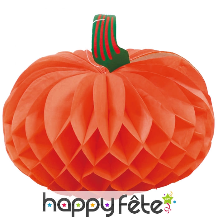 Citrouille alvéolée