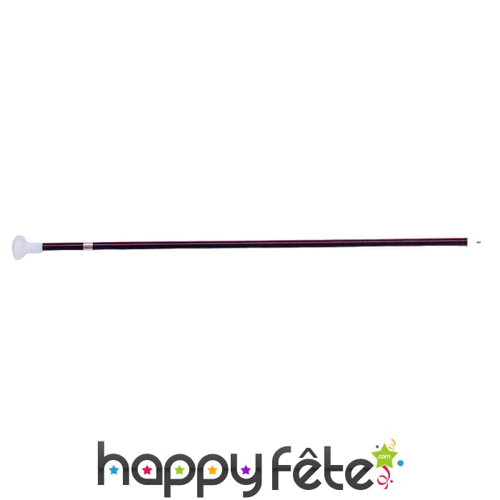 Canne à pommeau avec embout bruiteur amovible