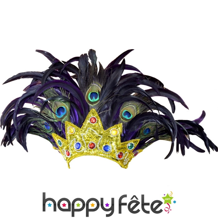 Coiffe brésilienne plumes