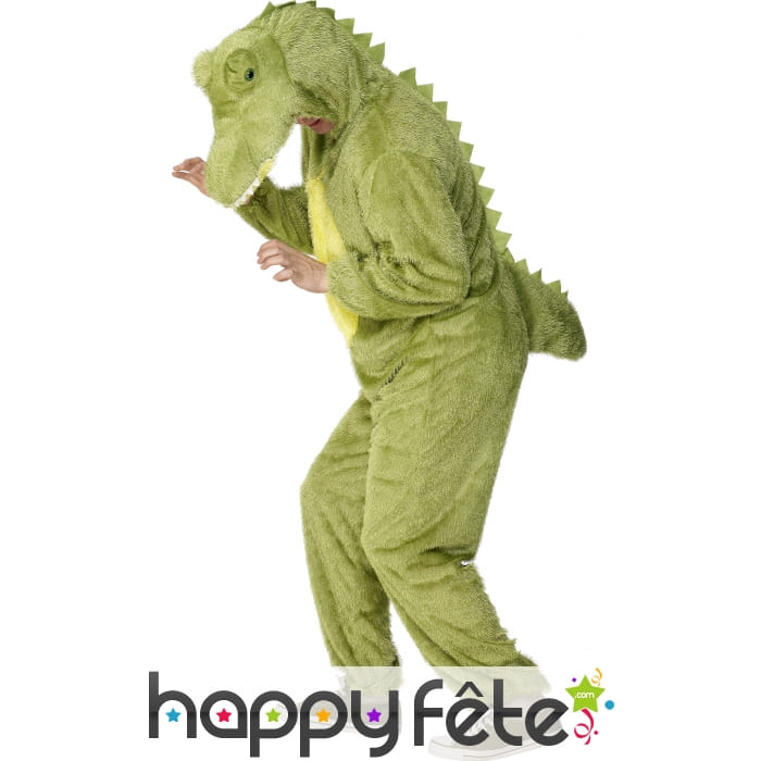 Costume crocodile