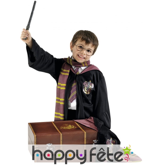 Coffre costume de Harry Potter pour enfant